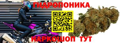 каннабис Усть-Джегута