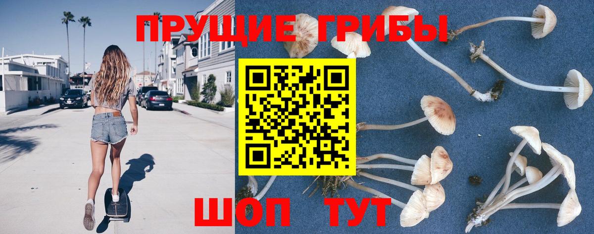 закладка  Вход с VPN  Новороссийск  Галлюциногенные грибы мухоморы  Галлюциногенные грибы GOLDEN TEACHER 
